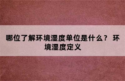 哪位了解环境湿度单位是什么？ 环境湿度定义